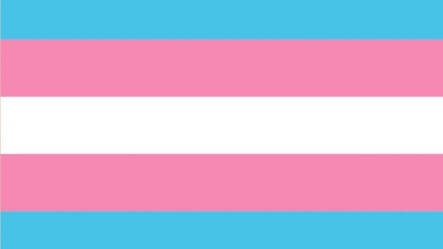 La bandera trans cumple 20 años. Conoce toda la historia