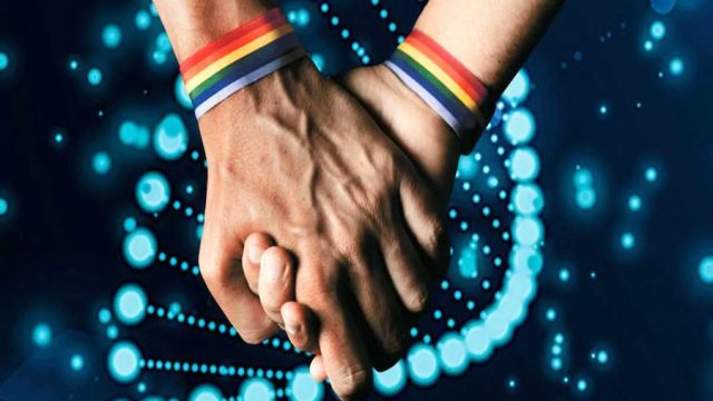 Conducta gay tendría que ver con genes humanos, revela estudio