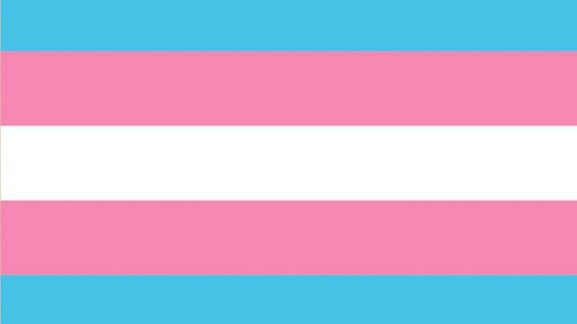 La bandera trans cumple 20 años. Conoce toda la historia